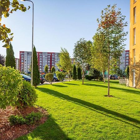 Apartment Richy Брашов Екстериор снимка