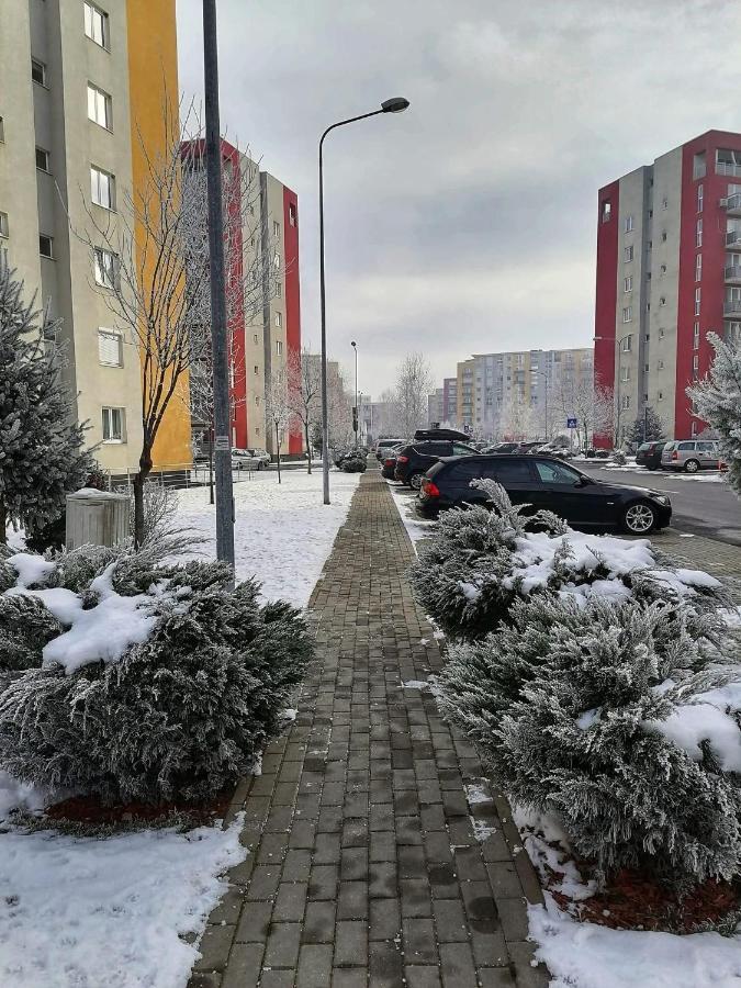 Apartment Richy Брашов Екстериор снимка