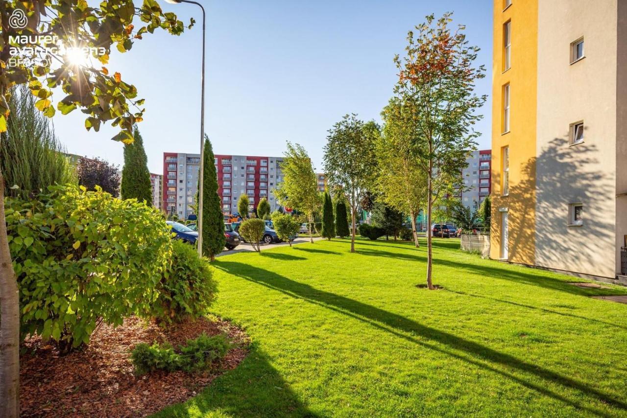 Apartment Richy Брашов Екстериор снимка